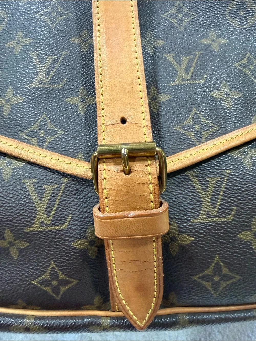 Louis Vuitton classic louis